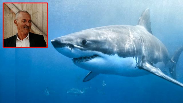 Köpek balığı saldırısına uğrayan Avustralyalı sörfçü, yaşamını yitirdi